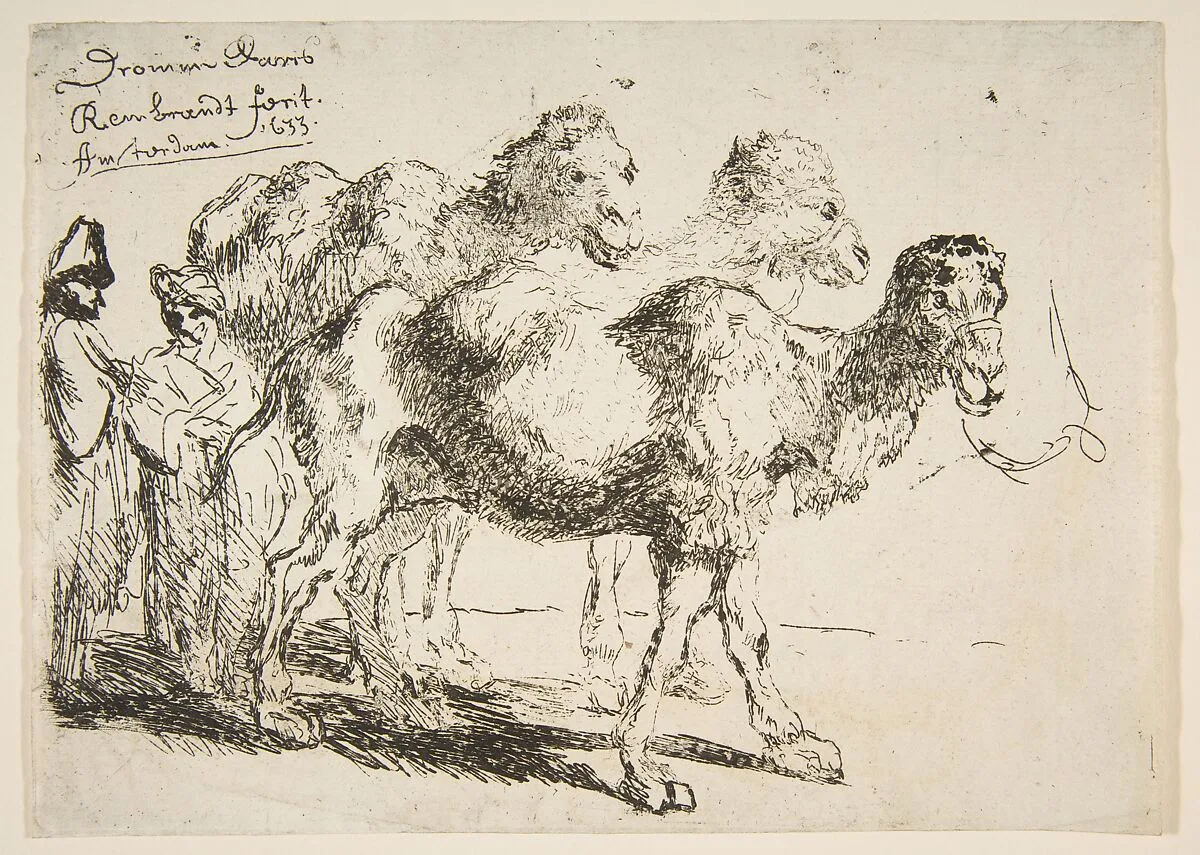 Three Dromedaries — Rembrandt (Rembrandt van Rijn)