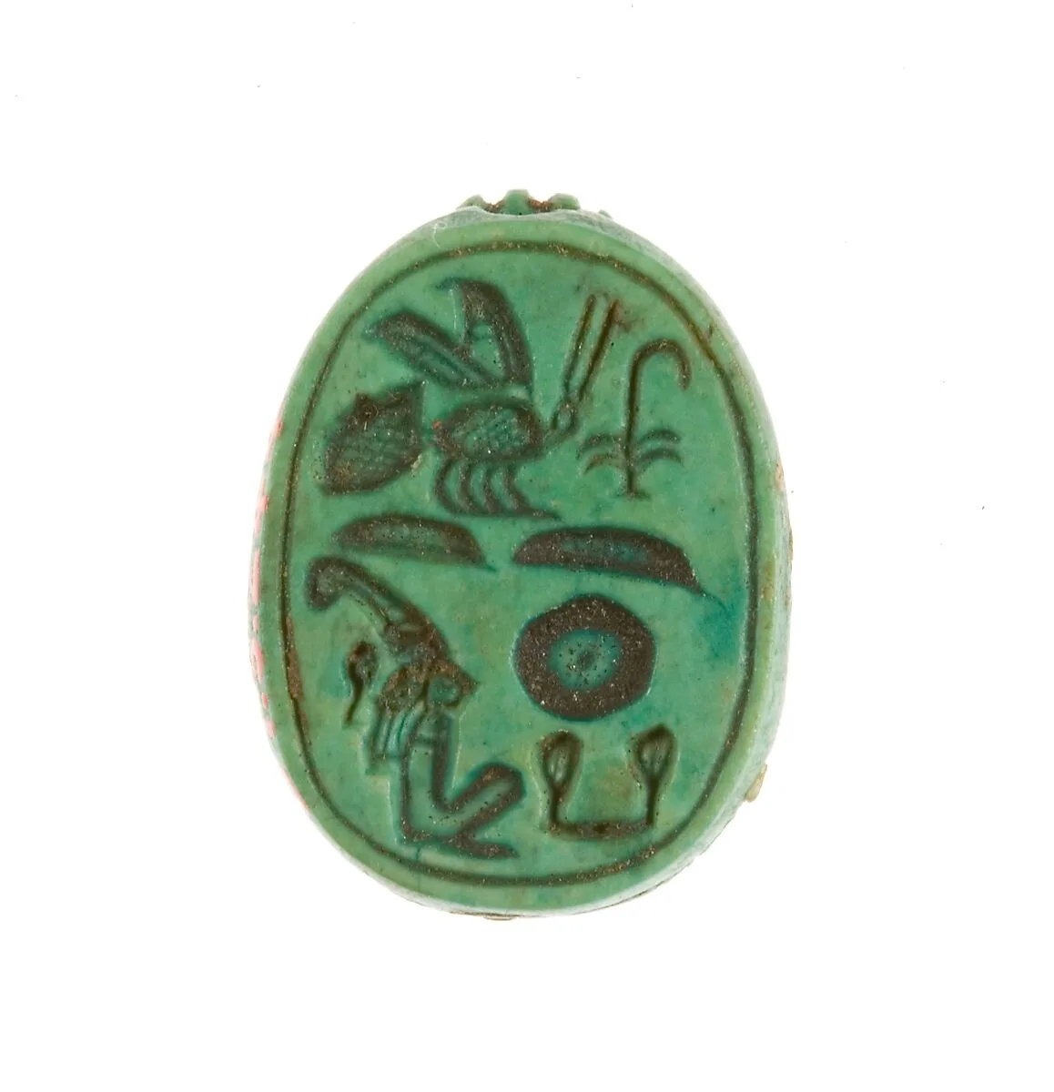 Scarab Inscribed for the King of Upper and Lower Egypt Maatkare (Hatshepsut) — Unknown