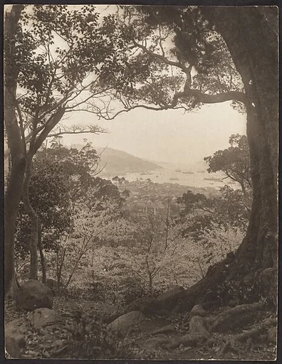 [View from Hillside Toward City and Harbor, possibly Hong Kong]