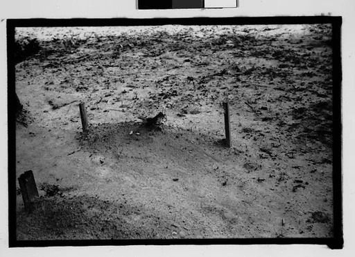 [Grave, Alabama]