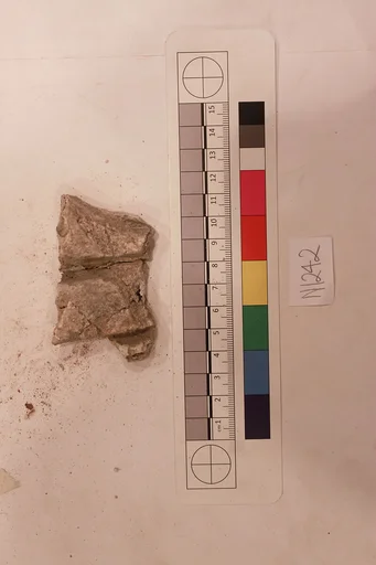 Stucco Fragment