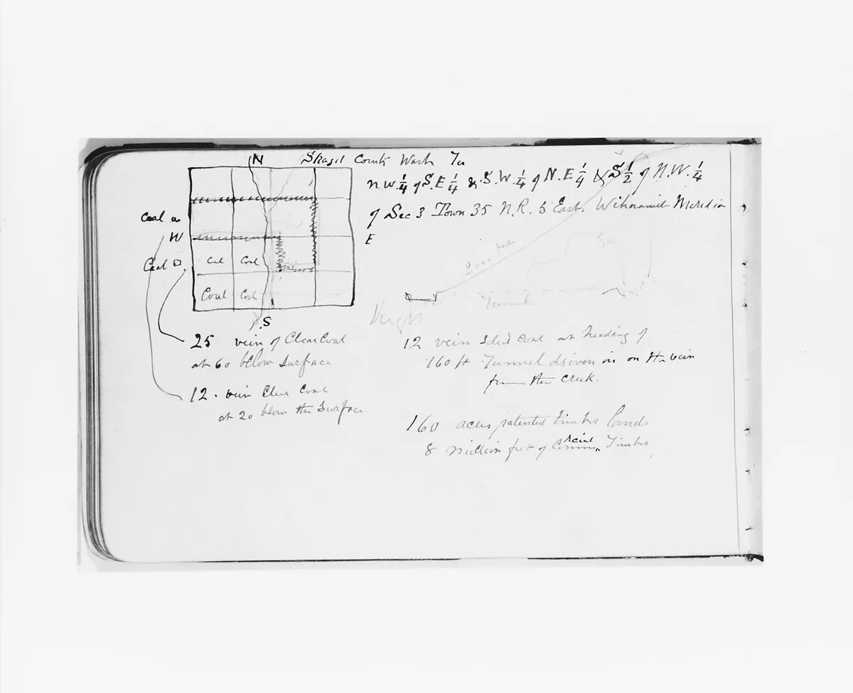 Geographical and Geological Notes on Skagit County, Washington (from Sketchbook) — Albert Bierstadt