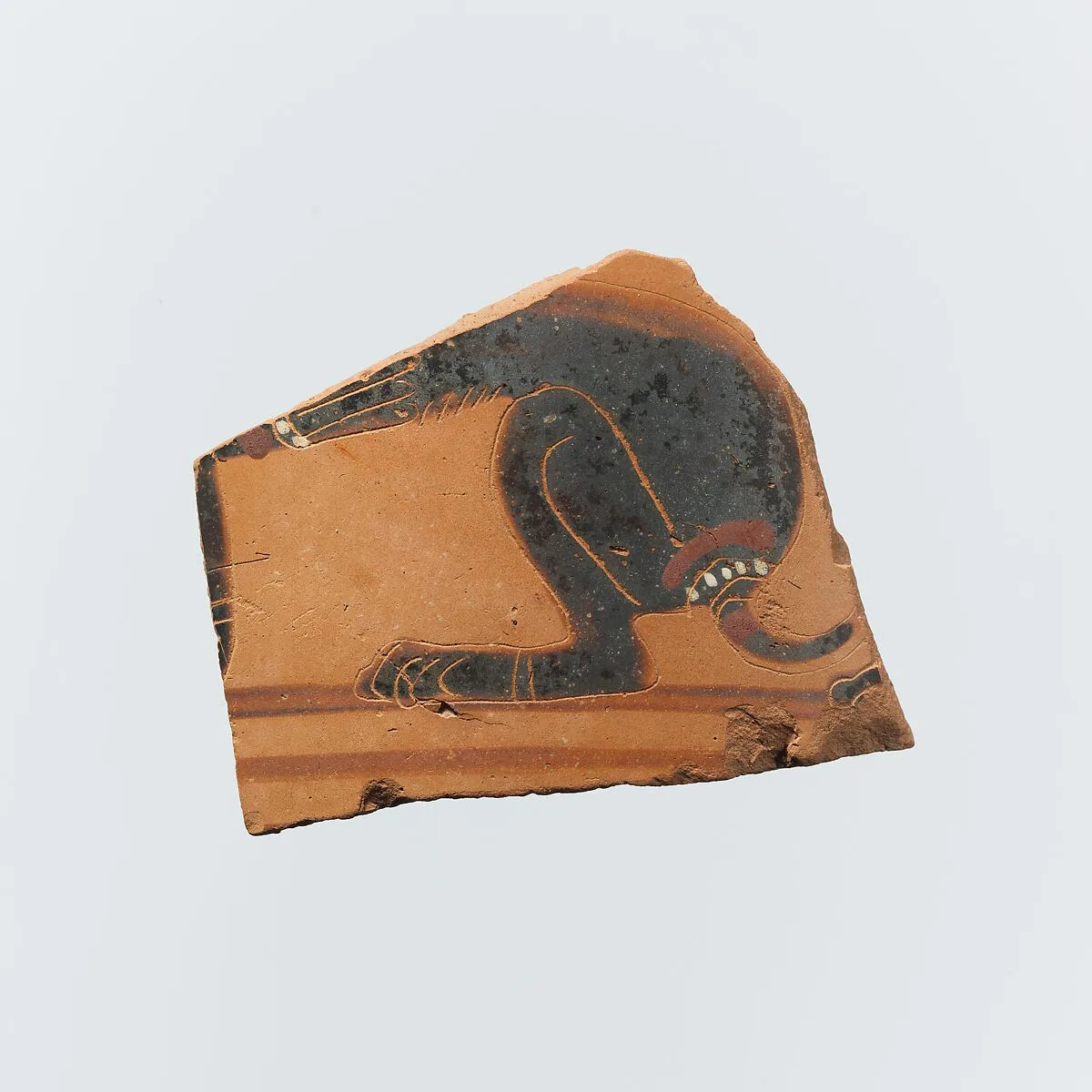 Fragment of a terracotta neck-amphora (jar) — Unknown