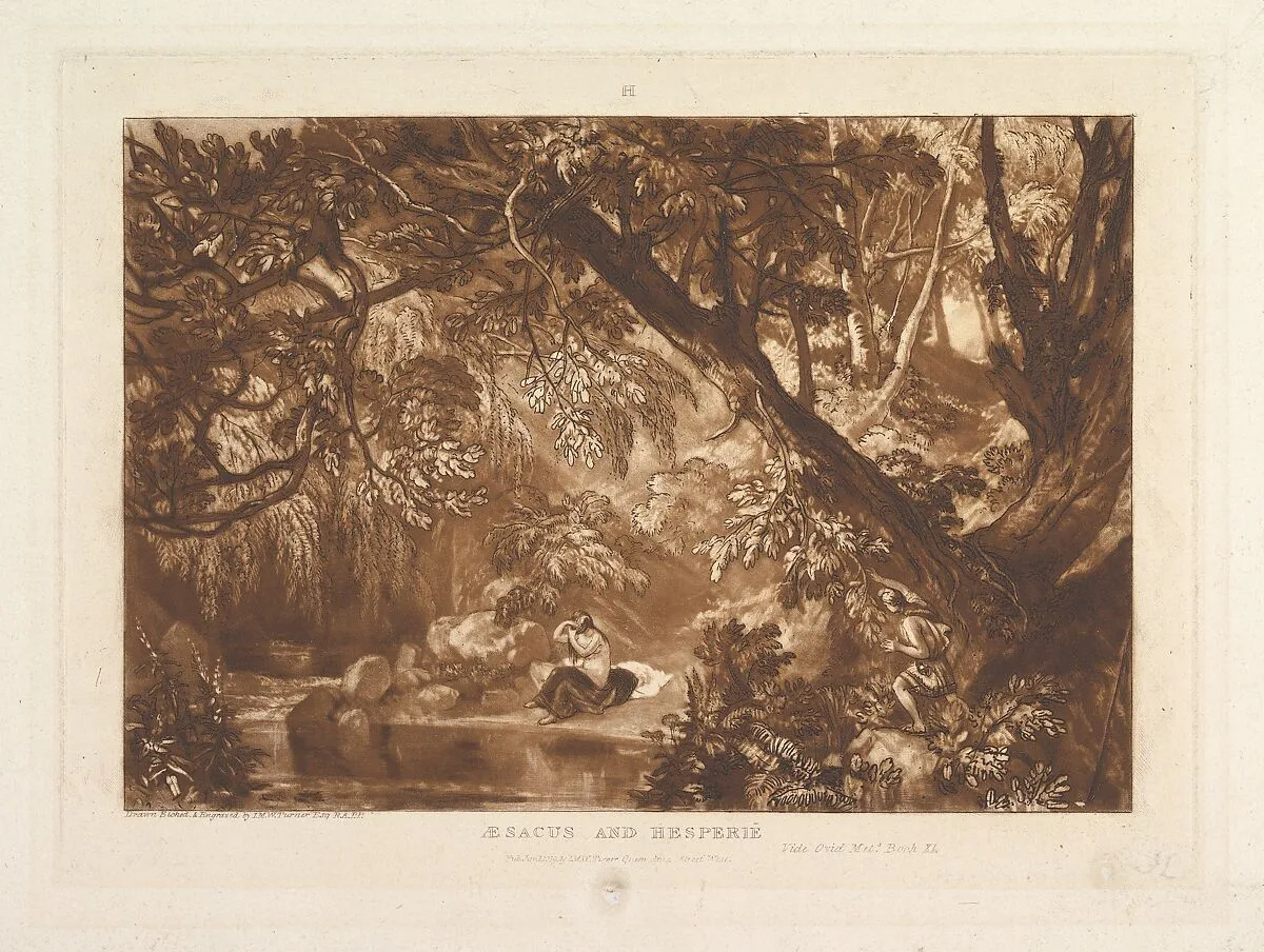 Aesacus and Hesperie, Vide Ovid Metamorphosis, Book XI (Liber Studiorum, part XIII, plate 66) — Joseph Mallord William Turner