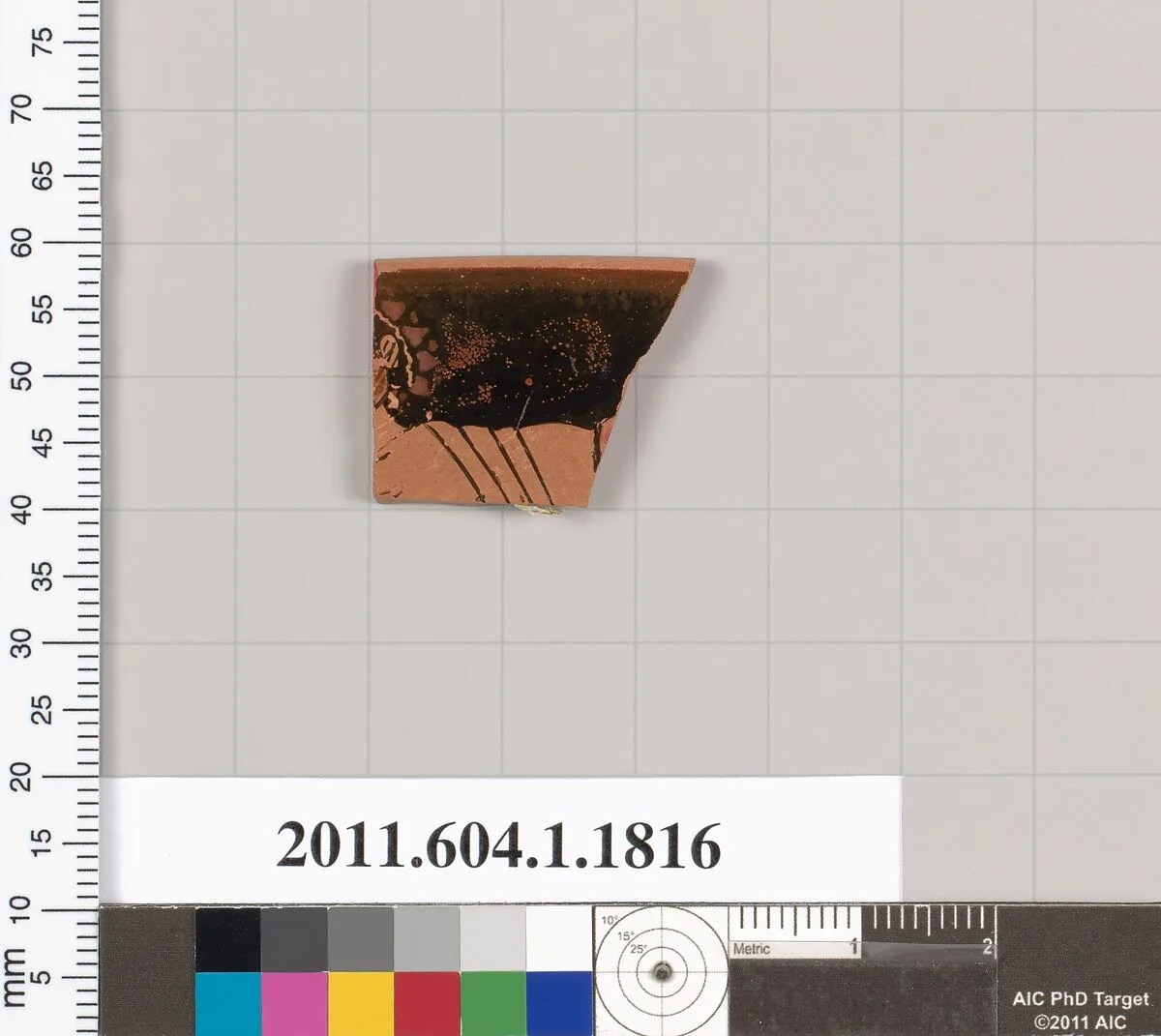 Terracotta rim fragment of a kylix (drinking cup) — Unknown