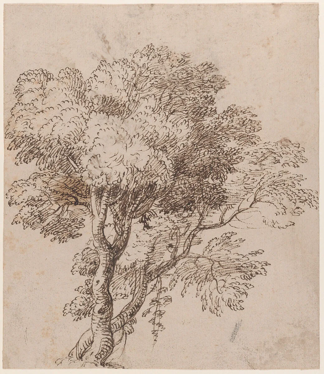 Study of a Group of Trees — Claude Lorrain (Claude Gellée)|Nicolas Poussin