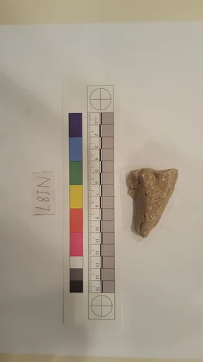 Stucco Fragment