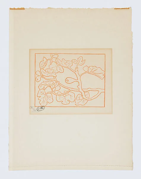 Figs (Figues) — Philippe Gonin|Aristide Maillol