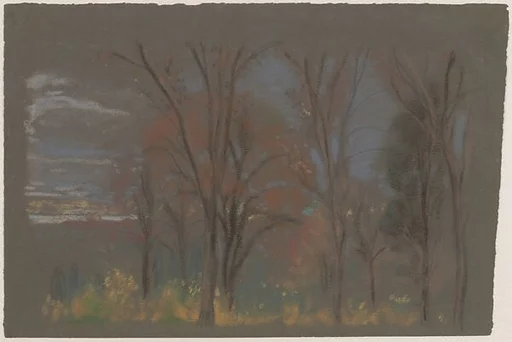 Autumn Woods