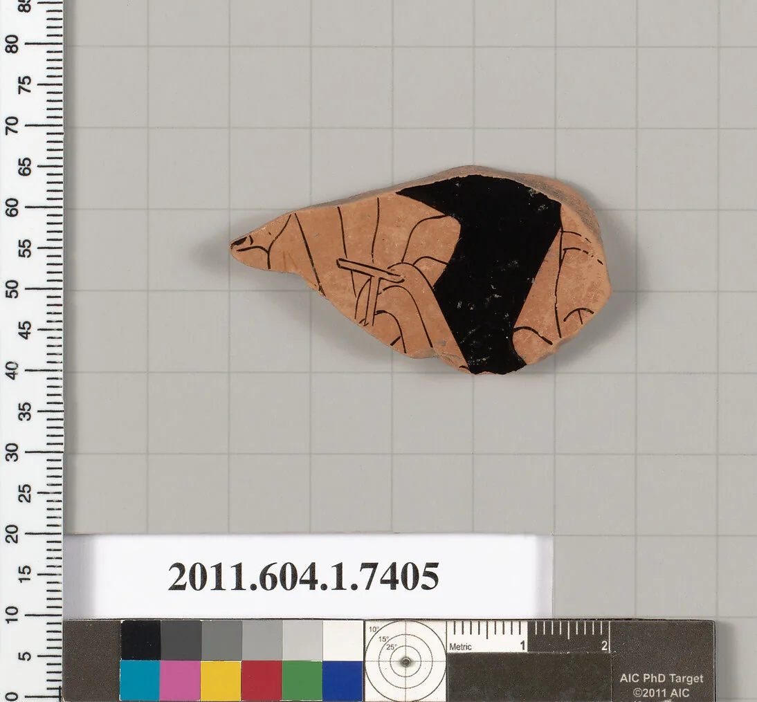 Terracotta fragment of a kylix (drinking cup) — Unknown