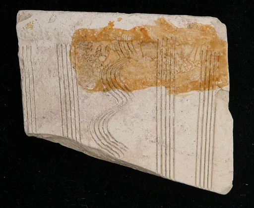 Fragment