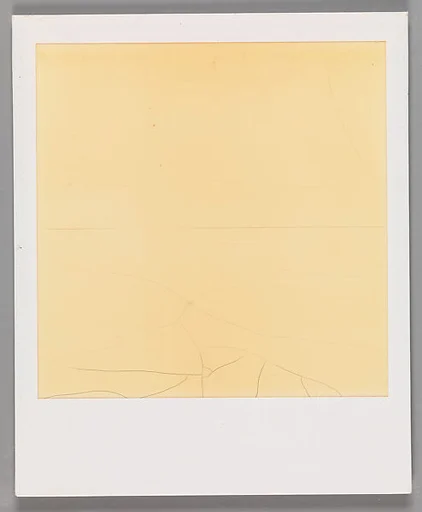 [Unidentifiable Blurred and Abstract Forms]