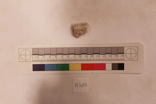 Stucco Fragment