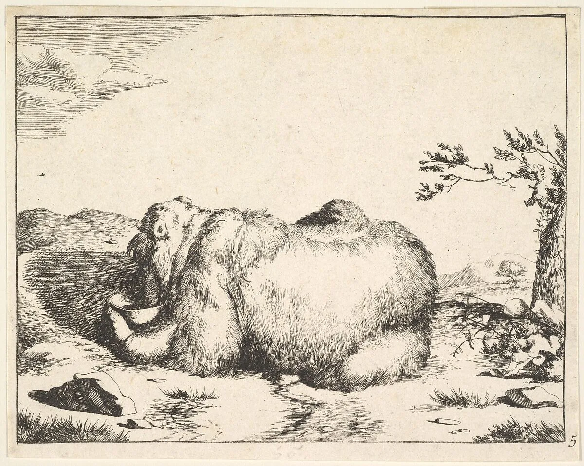 from The Set of The Bears — Marcus de Bye|Marcus Gheeraerts the Elder