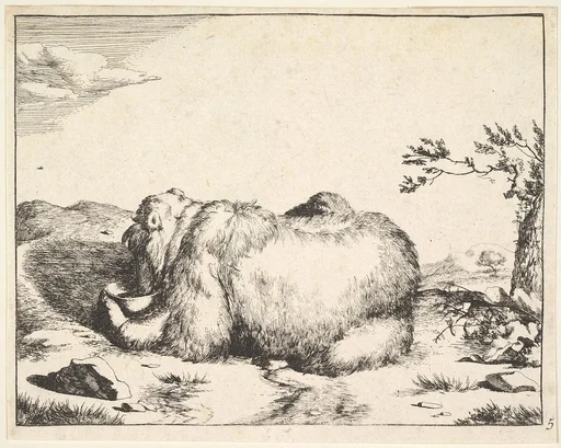 from The Set of The Bears