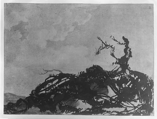 The Fallen Tree
