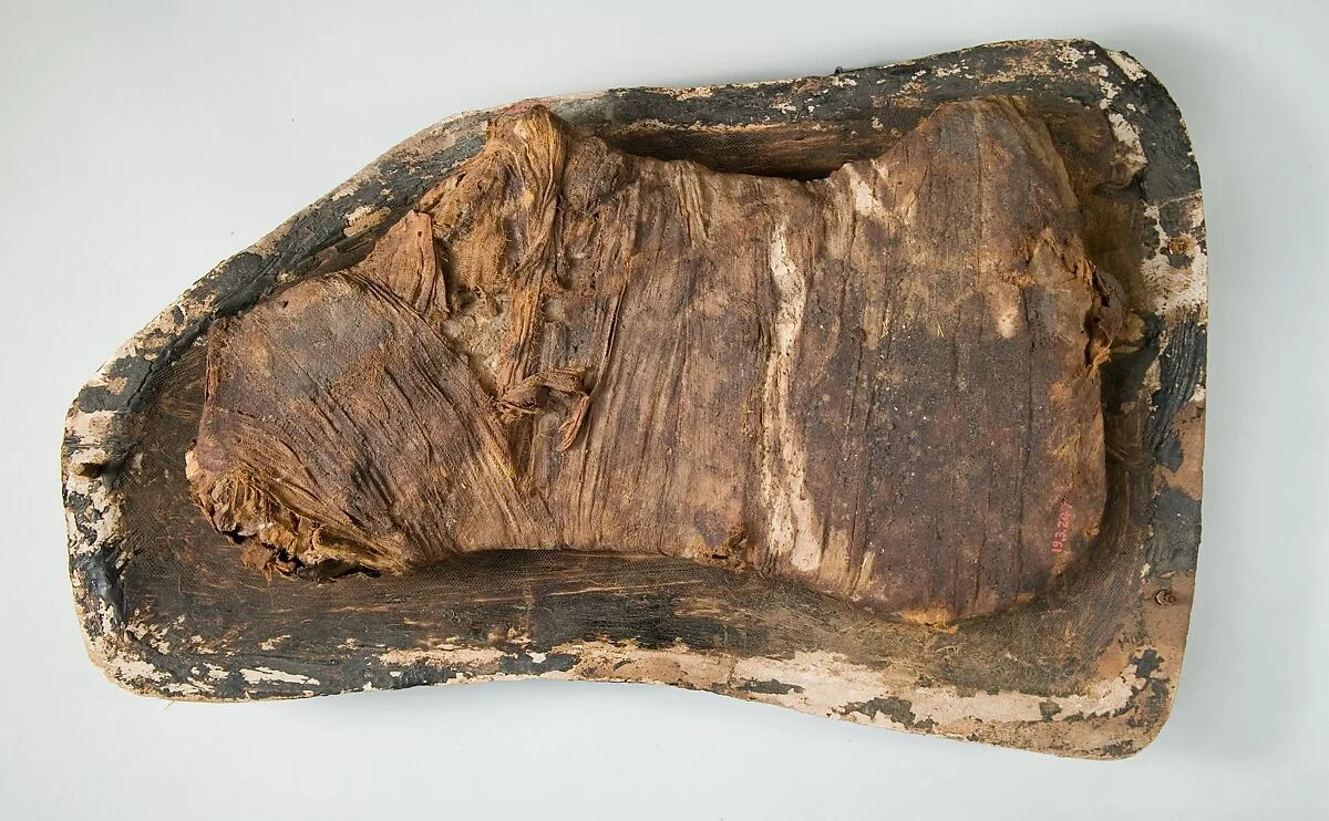Half of a Box for Storing Meat — Unknown
