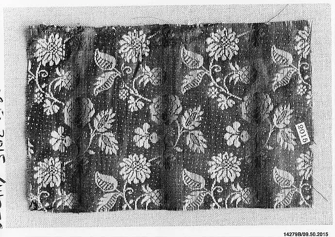 Fragment — Unknown
