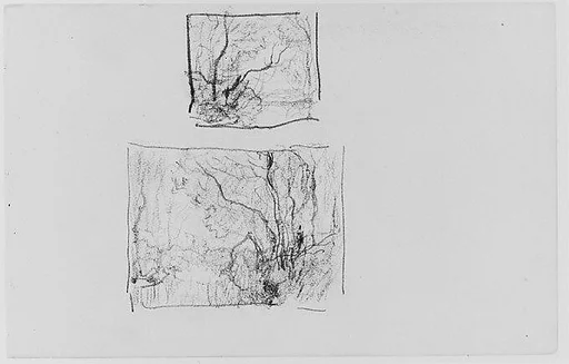 Two Sketches of Trees (from Sketchbook)