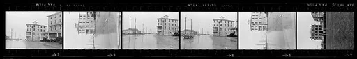 [34 Exterior Views of Hotels, Cape May, New Jersey]