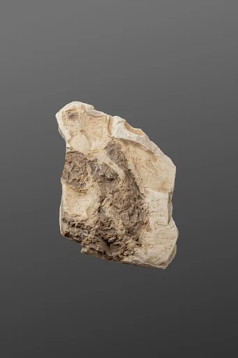 Relief fragment possibly from the tomb of Mereri