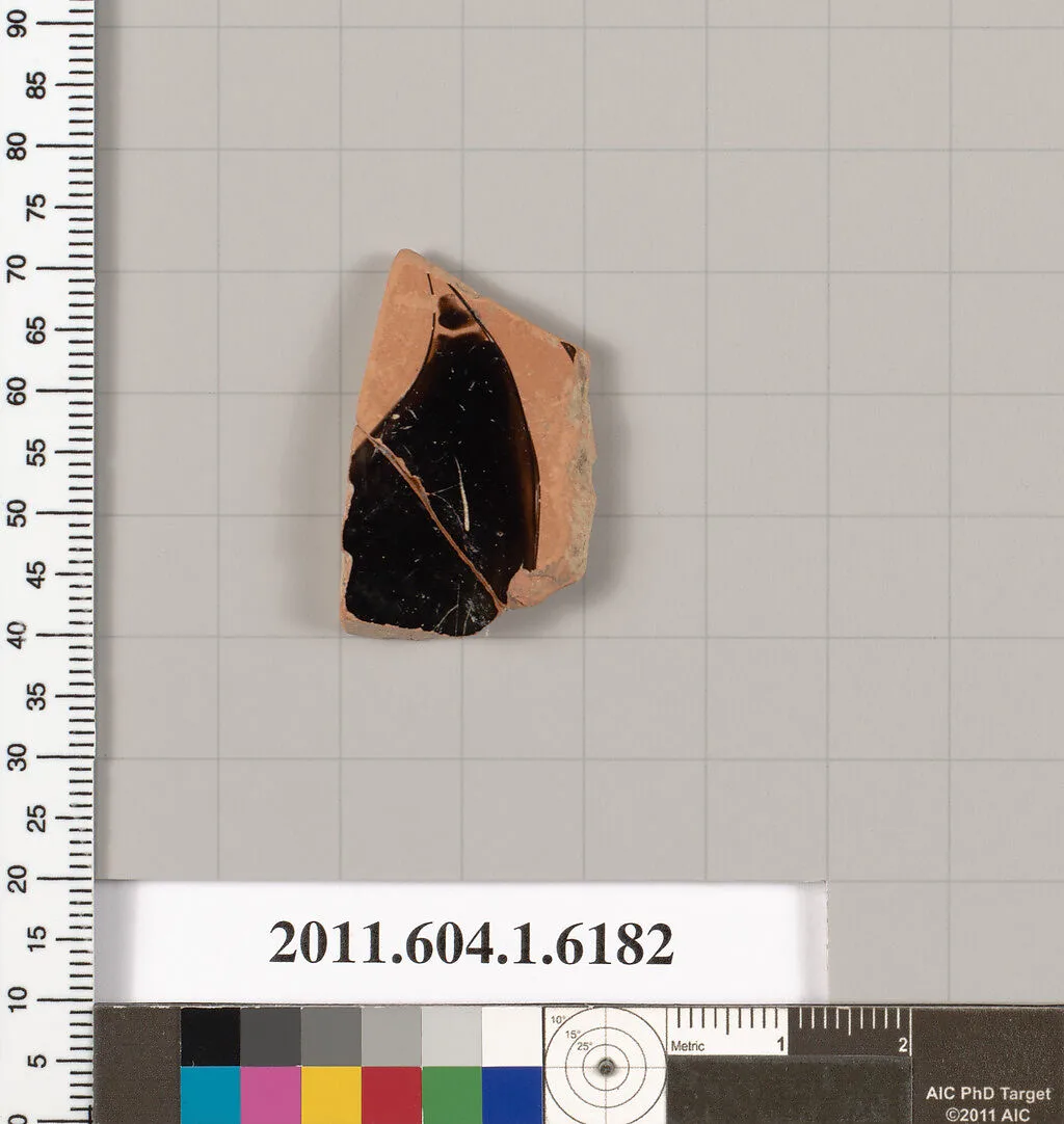Terracotta fragment of a kylix (drinking cup) — Unknown