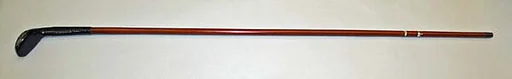 Walking stick