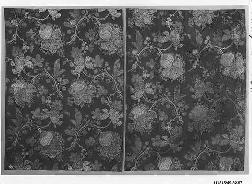 Panel