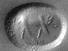 Stamp seal