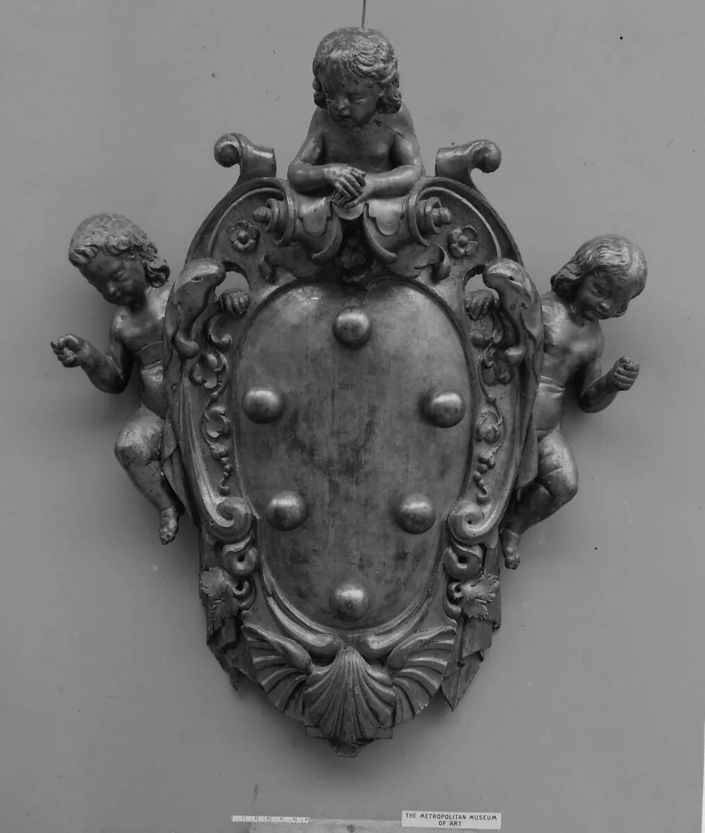 Arms of Counts de Medici — Unknown