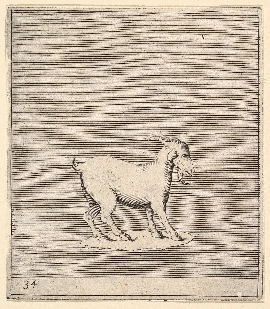 Ram, from "Ex Antiquis Cameorum et Gemmae Delineata" — Francesco Angeloni|Battista Franco|Philippe Thomassin|Enea Vico|Anonymous, Italian, 16th century