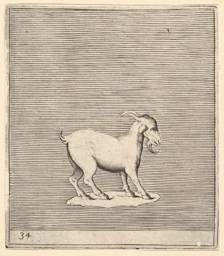 Ram, from "Ex Antiquis Cameorum et Gemmae Delineata"