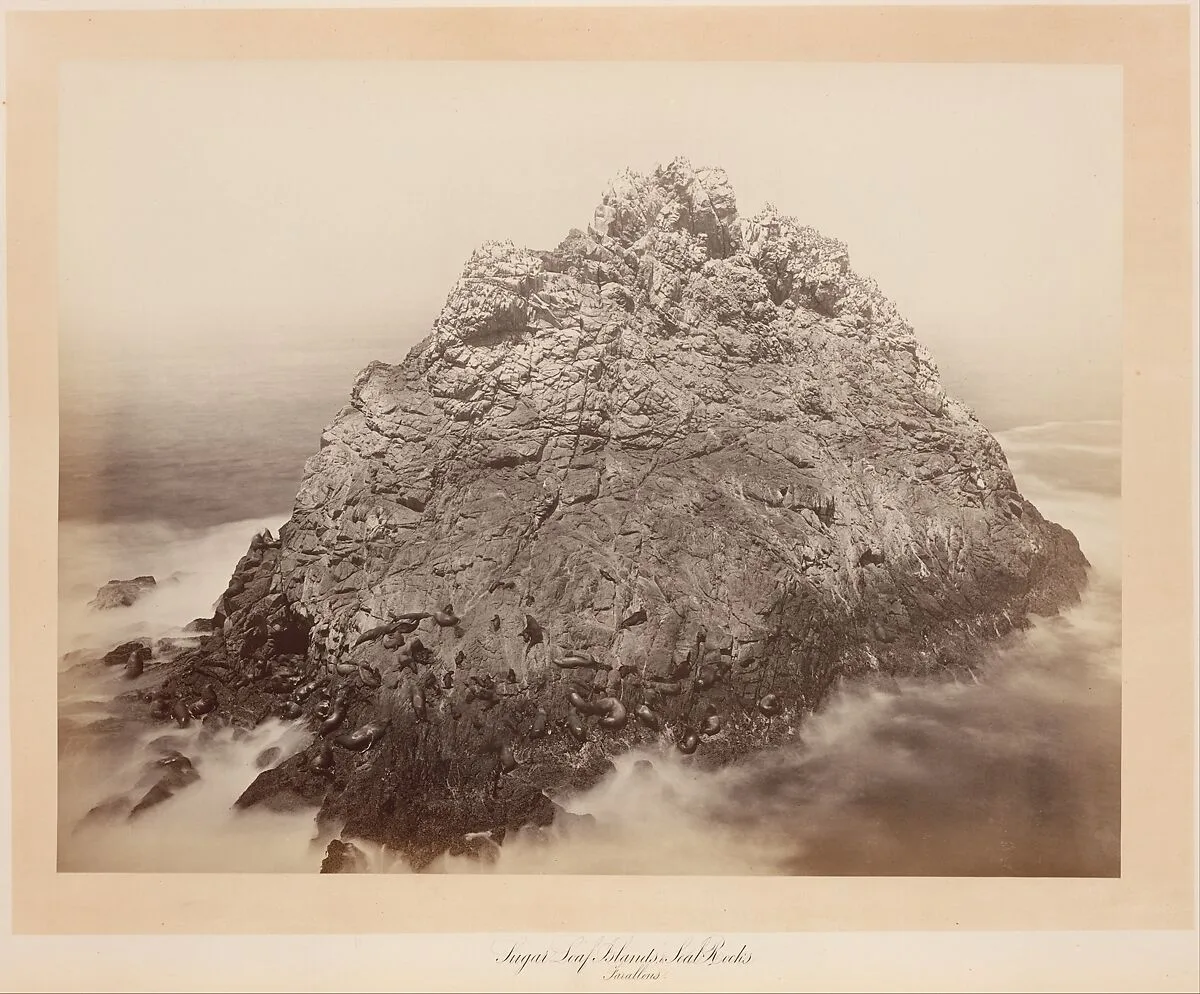 Sugar Loaf Islands, Farallons — Carleton E. Watkins