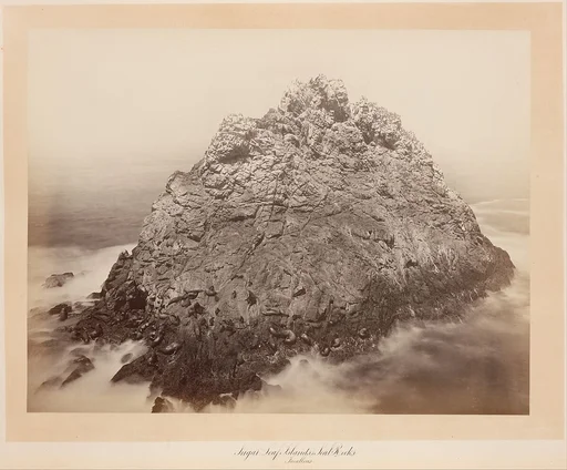 Sugar Loaf Islands, Farallons