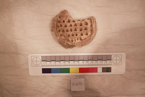 Stucco Fragment