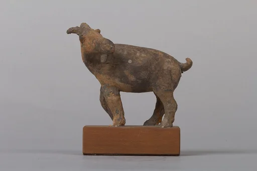北魏  陶山羊俑|Goat (one of a pair)