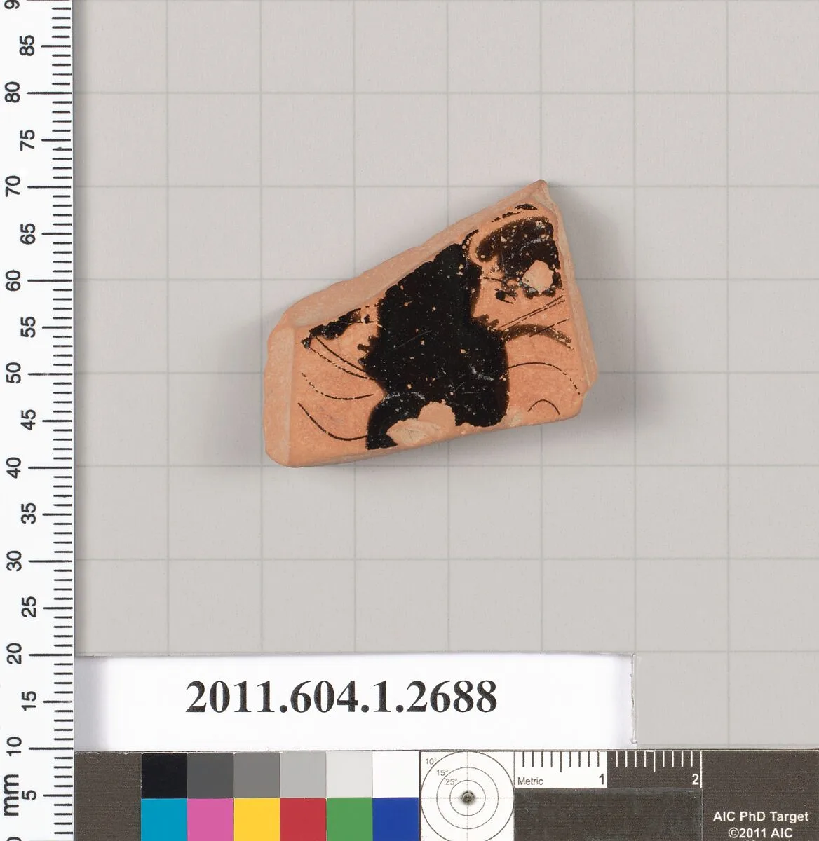 Terracotta fragment of a kylix (drinking cup) — Unknown