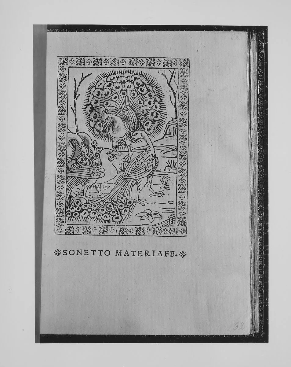 Aesopi Fabulas — Giovanni & Alberto Alvise|Accio Zucchi|Aesop|Liberale da Verona
