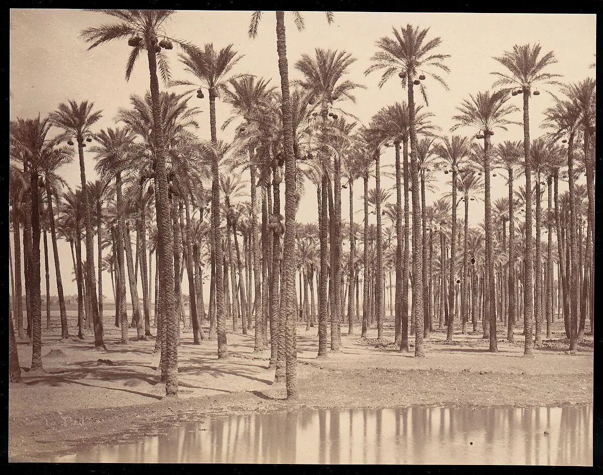 Temple de Cathers a Saqqarah — Unknown