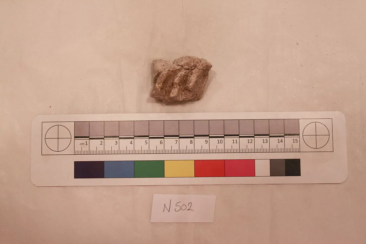 Stucco Fragment — Unknown