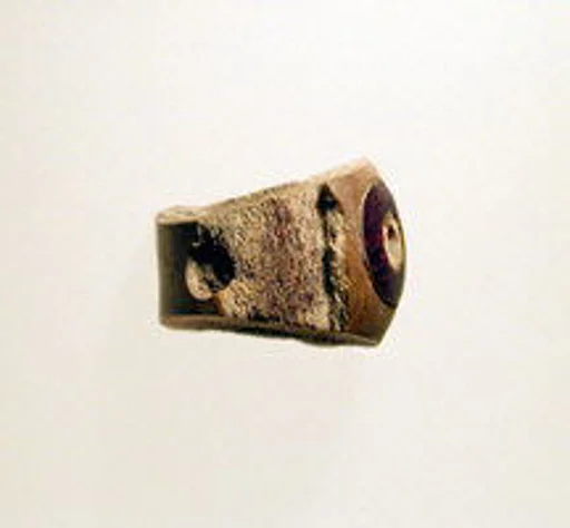 Fibula, fragment