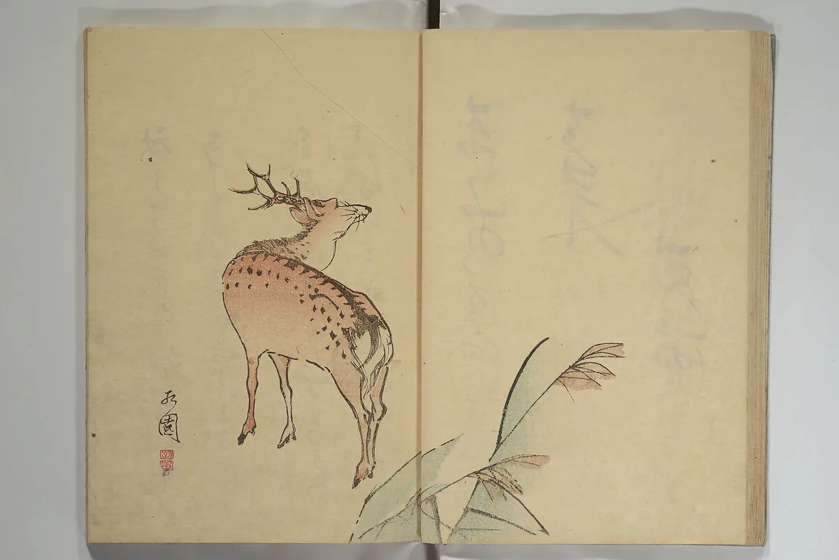 Untitled — Nagayama Koin (Hirotora)