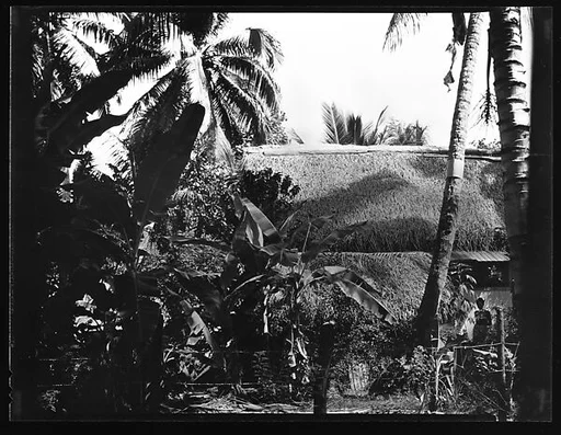 [South Seas: Thatched Roof House Behind Foliage]