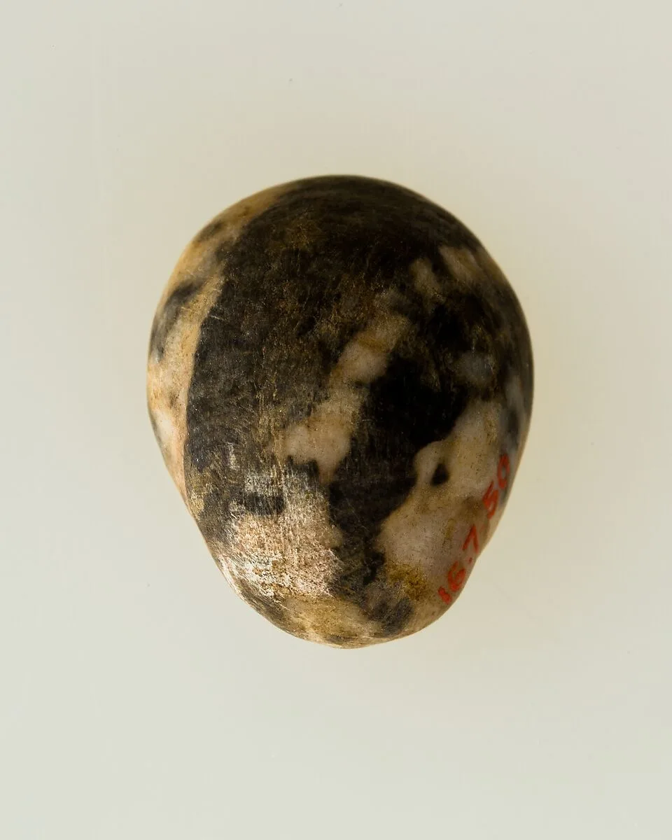 Shell pendant or bead — Unknown