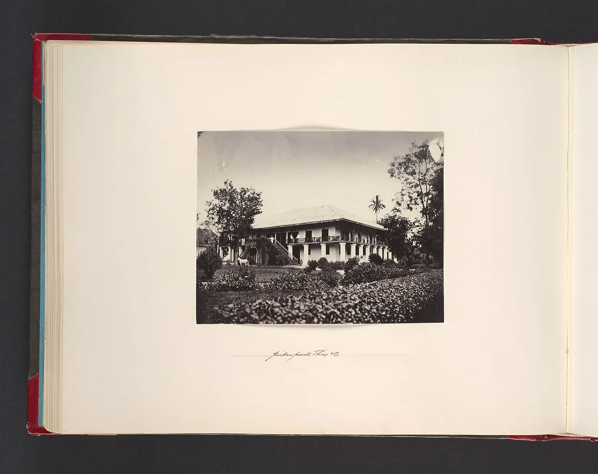 Pickenpack Thies & Co. — John Thomson