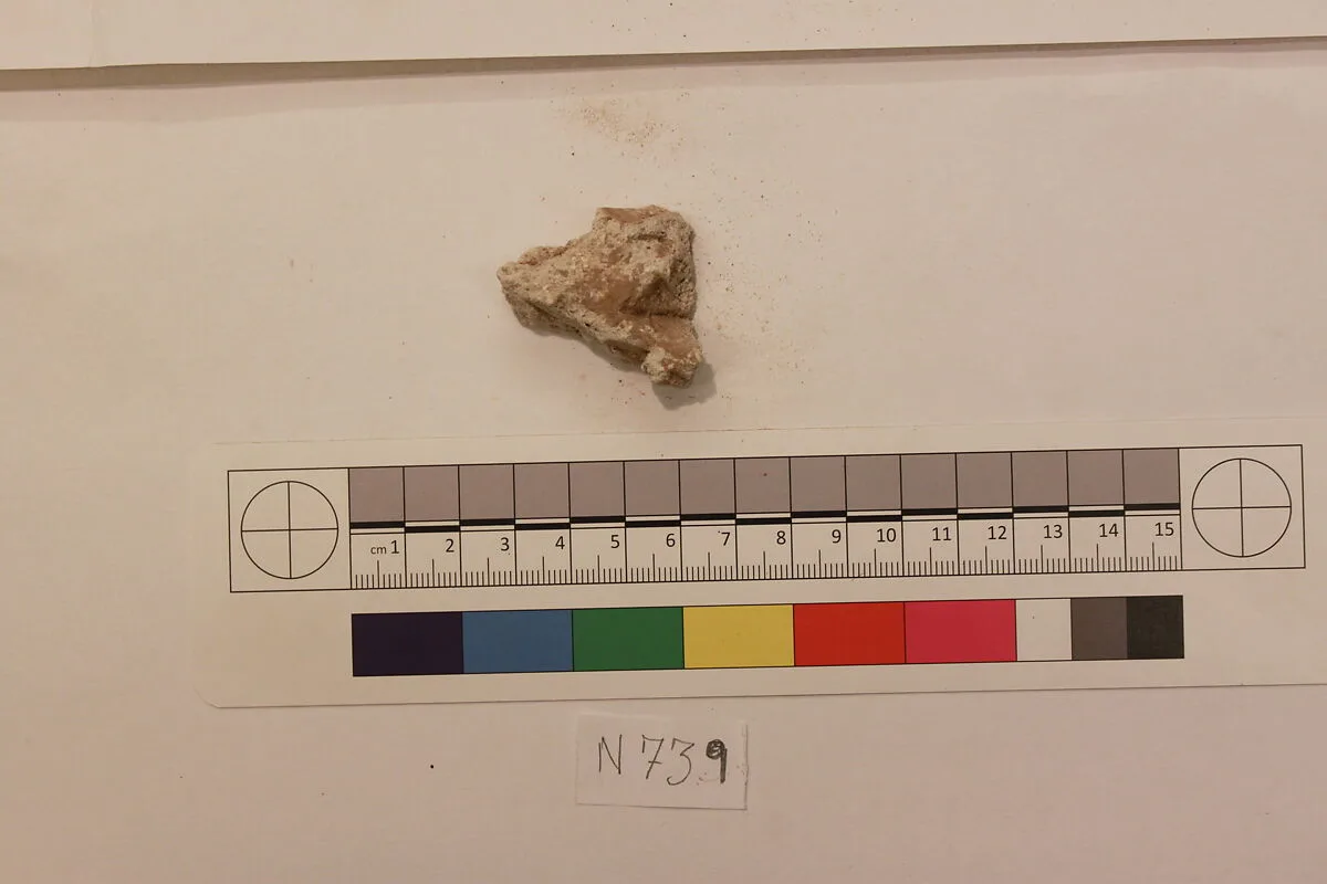 Stucco Fragment — Unknown