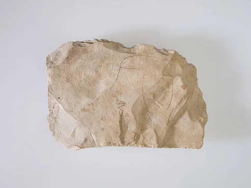 Ostracon Depicting a Man's Head