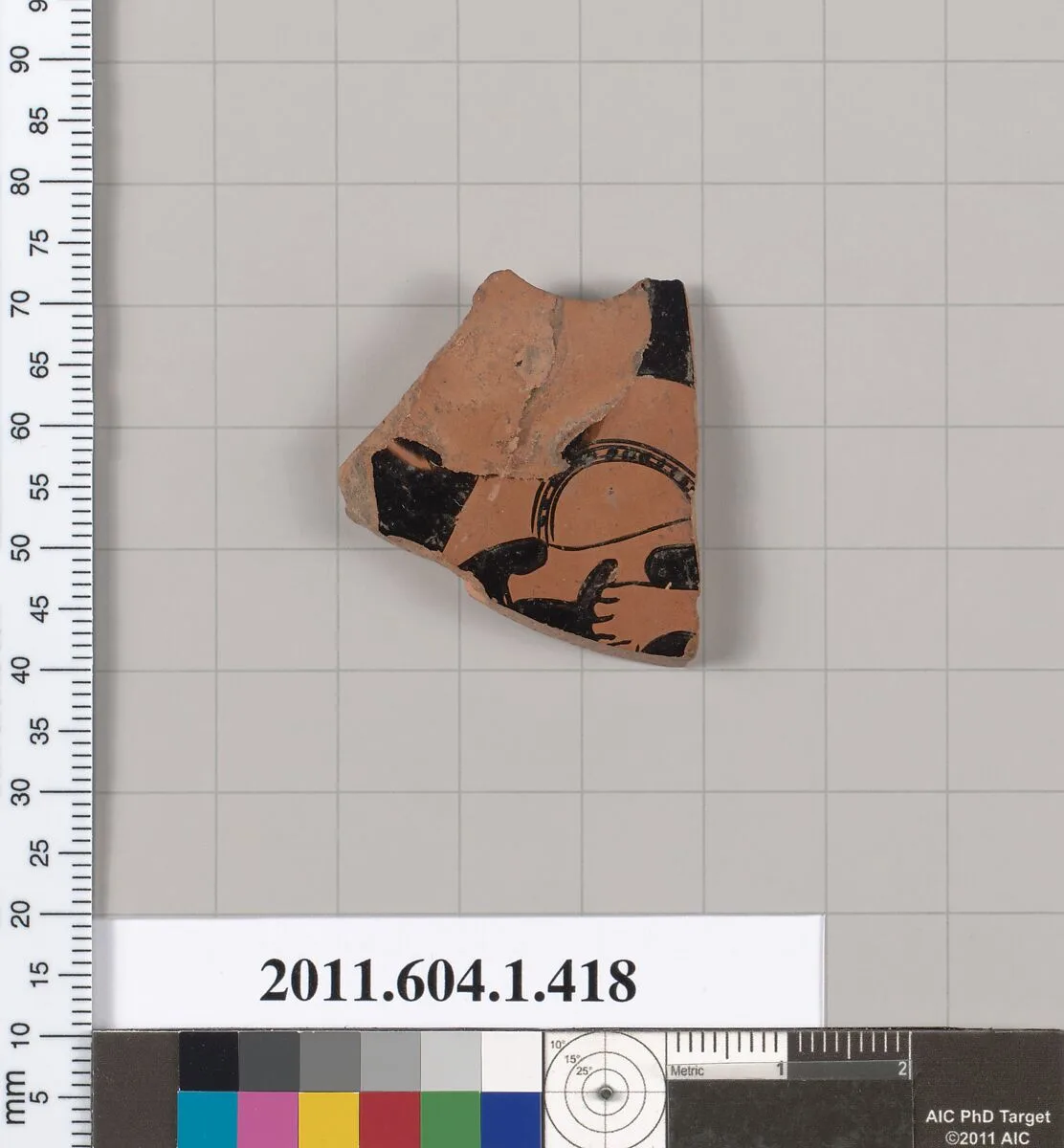 Terracotta fragment of a kylix (drinking cup) — Unknown