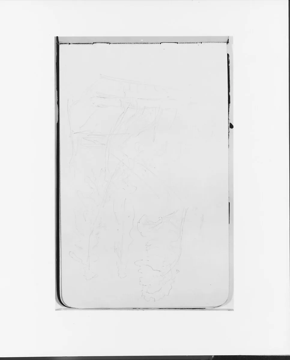 Sketches of Trees (from Sketchbook) — Albert Bierstadt