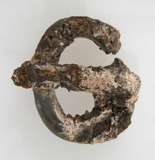Buckle Loop and Tongue